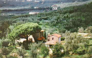 Ferienhäuser in der Toscana im Olivenhain